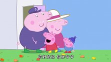 【小猪佩奇】风把乔治的绒线帽.吹挂在了树枝上