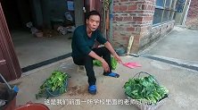 小囿出海登上“螺岛”，抓的全是成双成对的螺，一个就能卖几百块
