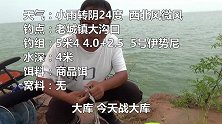 作钓涨水迅猛的丹江大库，下竿就是大鲤鱼，翘嘴白条连口不停