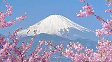 旅拍日本，富士山和樱花，美的样子