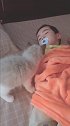 小猫：别睡了，快起来陪我玩儿！