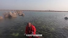 渤海湾盛产的大海螺突然泛滥了，大胖抓到手抽筋，大呼过瘾发财了