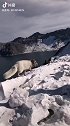 大美长白，雪山飞狐，长白山天池