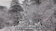雪后杭州百丈岭成“顶流”，村民：村里游客一拨接着一拨