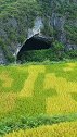 贵州深山发现一山洞，无人机飞进去发现是另外一个世界