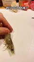家常芝士焗大虾 馋的小孩叫我妈！！烤点大虾778！！芝士 美食推荐官 最dou吃货季
