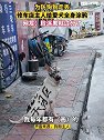 广东广州：防狗狗走丢，修车店主人给狗子全身大涂鸦