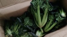 浙江宁波：花1500元买闲置苹果手机，结果却收到几棵青菜？
