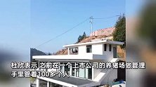 90后小伙回老家花60万建别墅专门养猪：自己设计改造，请师傅180元一天