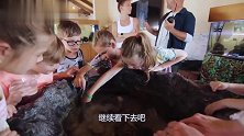 5胞胎想摸鱼却又害怕，就看小娃们之后的反应，太逗了