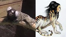 《山海经》说的都是真的？美洲动物酷似“人面兽”走红网络