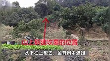 浙江一小区旁突然冒出坟墓居民崩溃！用黑布和树枝遮掩，当地：村民在自家山地私建