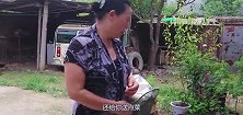 婆婆进城给儿子送钱，儿媳连口水都不让她喝，邻居看不下去了！
