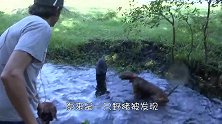 十几条猎犬集体冲向河边，主人上前查看，这可把他乐坏了！