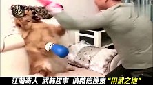 这狗成精了！戴上拳套和主人对轰