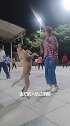 广场舞太有魅力了，连狗子都学会了，在下实在是佩服！