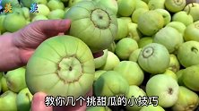 买甜瓜是“越大越好”吗？老瓜农都用这3招，一挑一个准又脆又甜