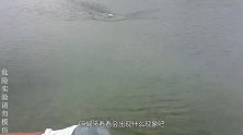 作死小伙将1公斤钠扔进河里，结果场面瞬间失控，直接拔腿就跑！