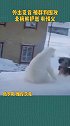 俄罗斯 北极熊 狗狗有点狗仗狗势了吧！重新来一遍试试！熊妈妈保护熊孩子