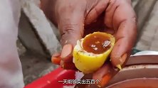 印度男子街边卖小吃，五毛钱一个很划算，加上秘制酱料简直绝了！