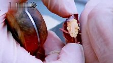 黄金水滴巧克力你们吃过吗混上酸奶一顿疯狂翻炒，猜猜会什么味