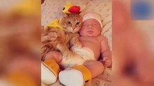 穿上小黄鸭套装，猫崽一动不动的，是认不出自己是谁吗