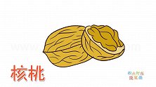 水果简笔画大全，画写实的核桃简笔画