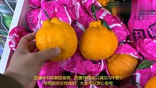 丑橘也是转基因？20年老果农说实情，不明白你的丑橘就白吃了