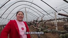胖妹去葡萄园溜达一圈，回家做儿时的美味，1口气做8块，吃过瘾