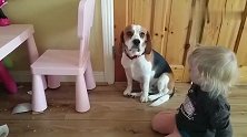 狗狗弄碎了小主人的碗，小娃不但不生气，还来安慰狗狗，太贴心了
