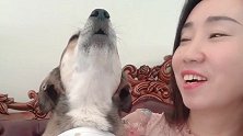 音乐一响，丫宝立马唱歌，根本停不下来！