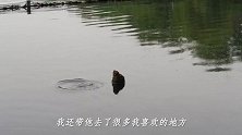 我的一年过得也太幸福了吧！2019年度总结