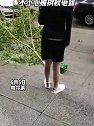 黑龙江哈尔滨：一个往超市送酒的小哥哥不小心被树杈砸到了