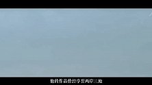 南怀瑾：“大师”还是“骗子”？北大教授：他的书文盲村夫才读