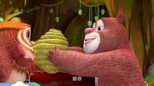 熊熊乐园：熊二真是个糊涂熊！把用来招待涂涂的蜂蜜都喝完了
