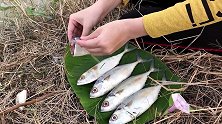 钓鱼：农家大妹子用海鱼做钓饵，鱼疯狂抢食，下竿就有鱼上钩