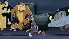 猫和老鼠：杰瑞威风的时候，它来保护汤姆！