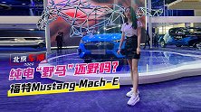纯电“野马”还野吗？实拍福特Mustang Mach-E