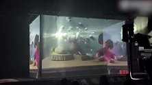 李子柒复出首秀状态好，国风穿搭温柔有力量，表演《不柒而遇》催泪
