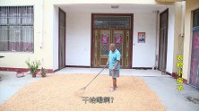 农村老爸晒玉米，给儿子出了啥难题？儿子要喝洗脚水，把老爸逗乐