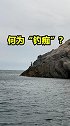 一位隐于孤岛的绝世“钓痴”，佩服！