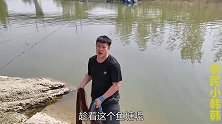 鱼塘管理员没在，拿八米手网来捕鱼，见到鱼群就撒！真是太刺激了