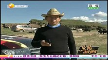 丝路进行时-20140724-探秘军马场