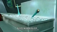 猪猪侠：猪霸天知道真相，可他为了利益，仍选择不对外公开