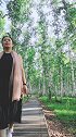 白桦林的美丽