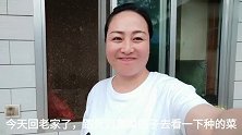 西北芊宏家里菜园子一年四季新鲜菜吃不完，农村生活真美好