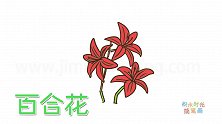 植物简笔画大全，画漂亮的百合花简笔画