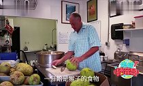 全球最独特的生命之树,果实像面包,树干还可以当房子住!