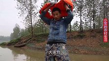 野河道里大货真多，农村小军徒手抓起10斤重大翘嘴，直呼可惜了