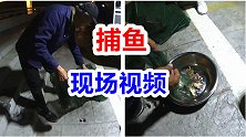 房车露营海边，用淡水捕虾笼放海水里会有收获吗